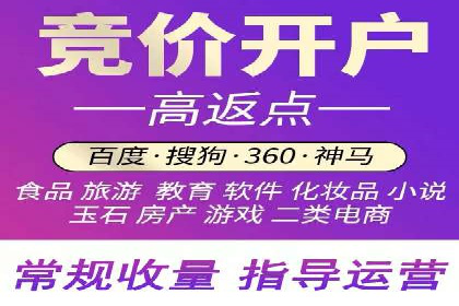 成功企业SEM竞价代运营案例研究